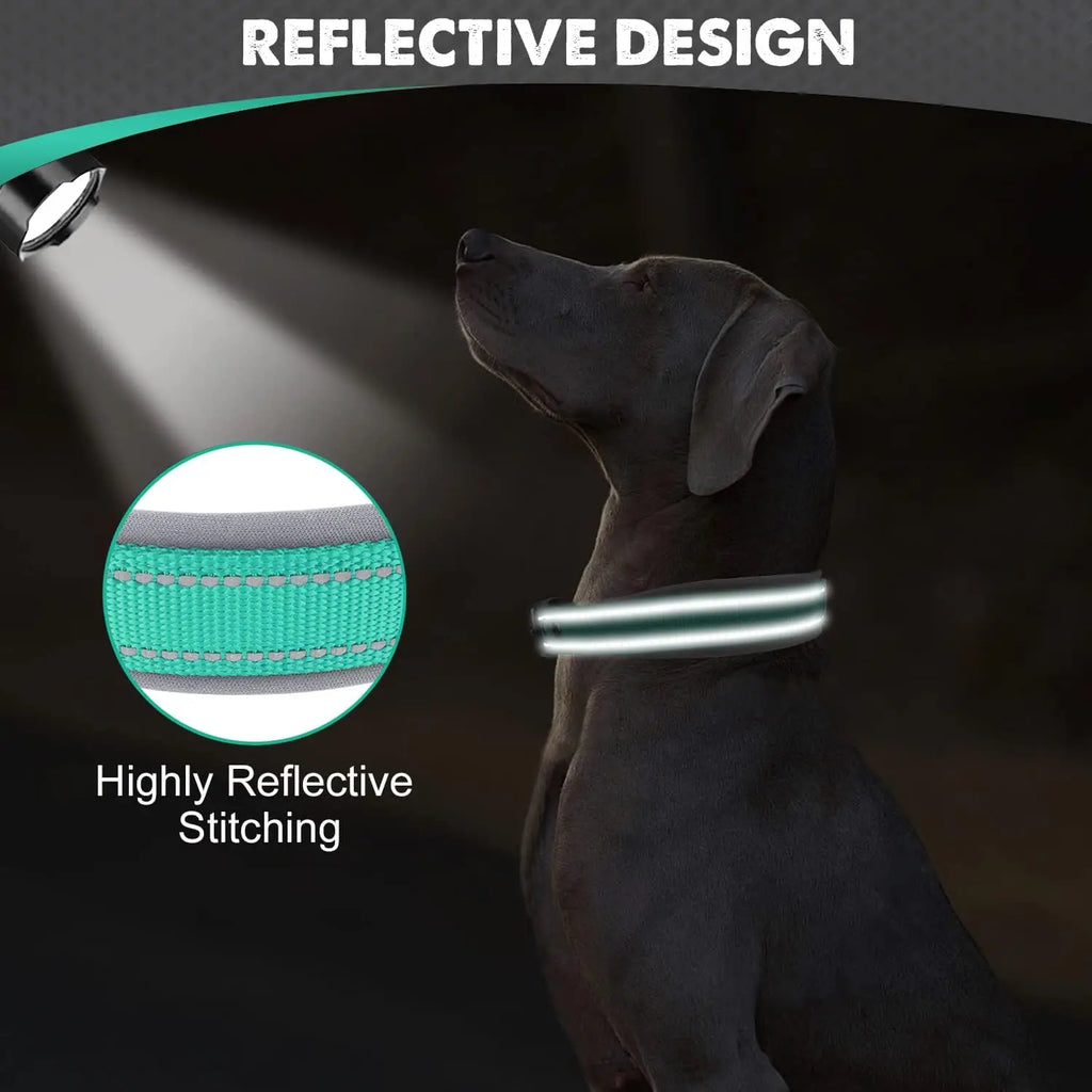 Collar Reflectivo Premium para Perros – Ajustable, Cómodo y Ultra Seguro