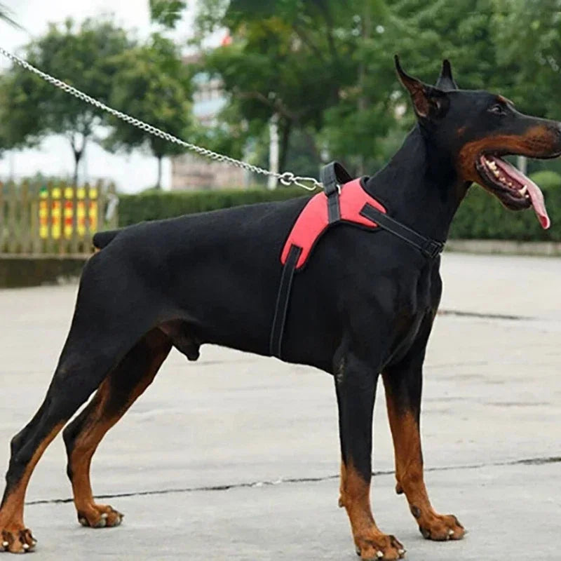 Arnés Premium Antitirones para Perros – Ajustable, Reflectivo y Transpirable