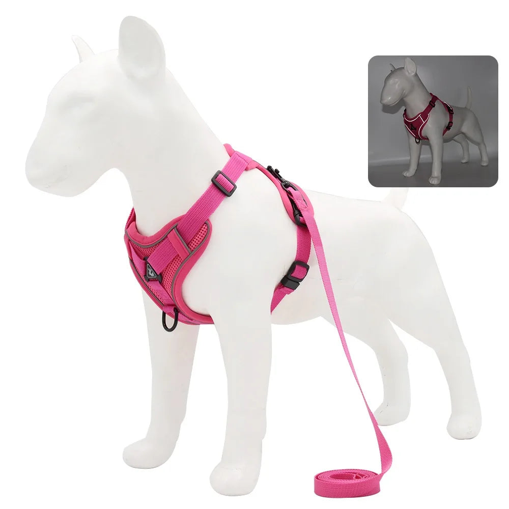 Arnés Ajustable para Perro con Correa – Cómodo, Seguro y Resistente
