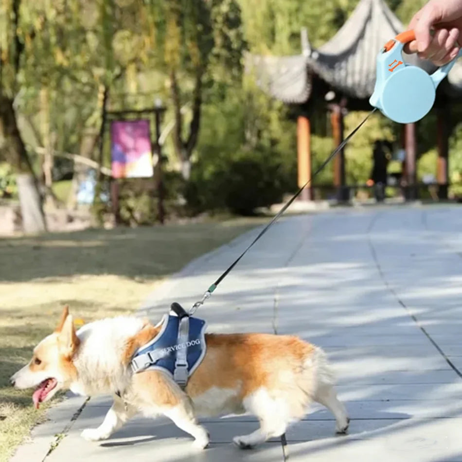 Correa Retráctil Inteligente para Perros – Control Total con una Mano