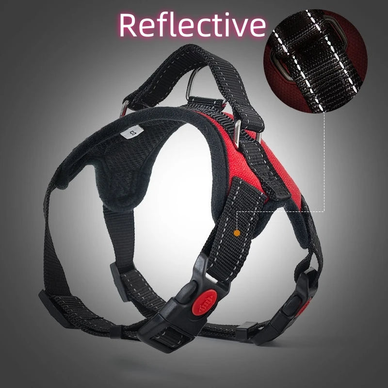 Arnés Premium Antitirones para Perros – Ajustable, Reflectivo y Transpirable