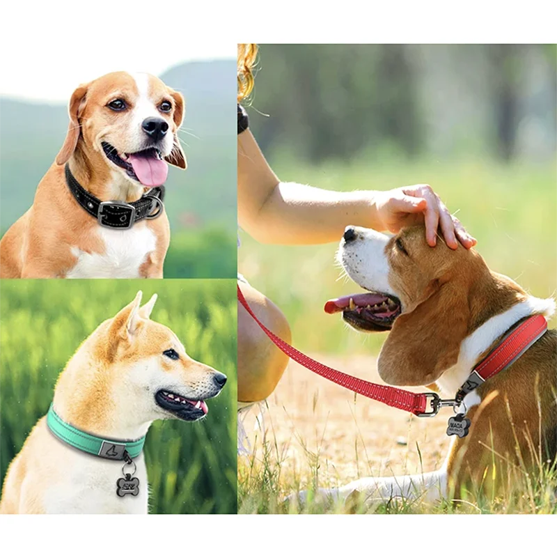 Collar Reflectivo Premium para Perros – Ajustable, Cómodo y Ultra Seguro