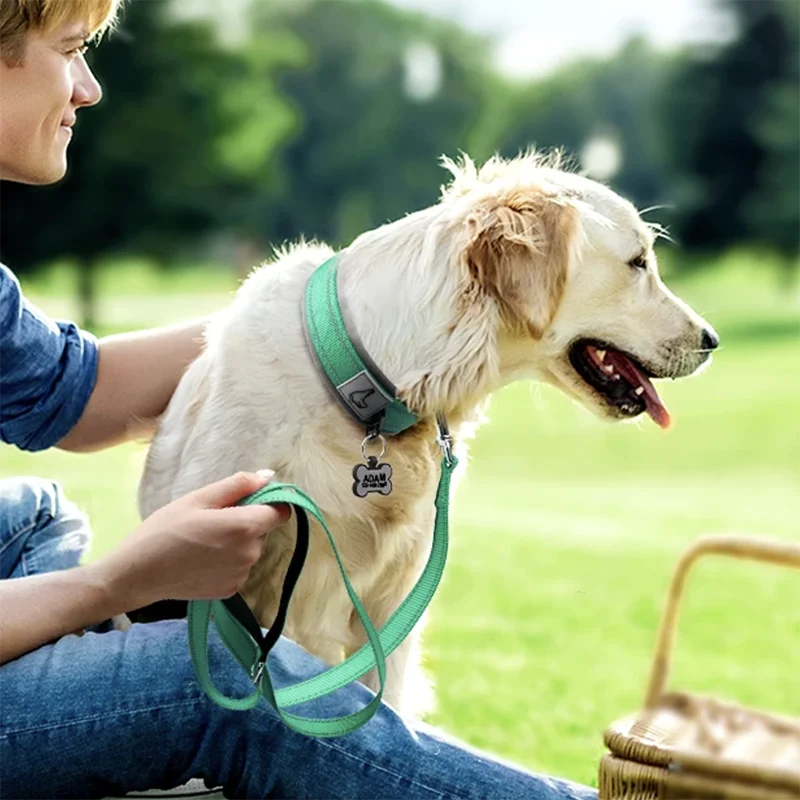 Collar Reflectivo Premium para Perros – Ajustable, Cómodo y Ultra Seguro