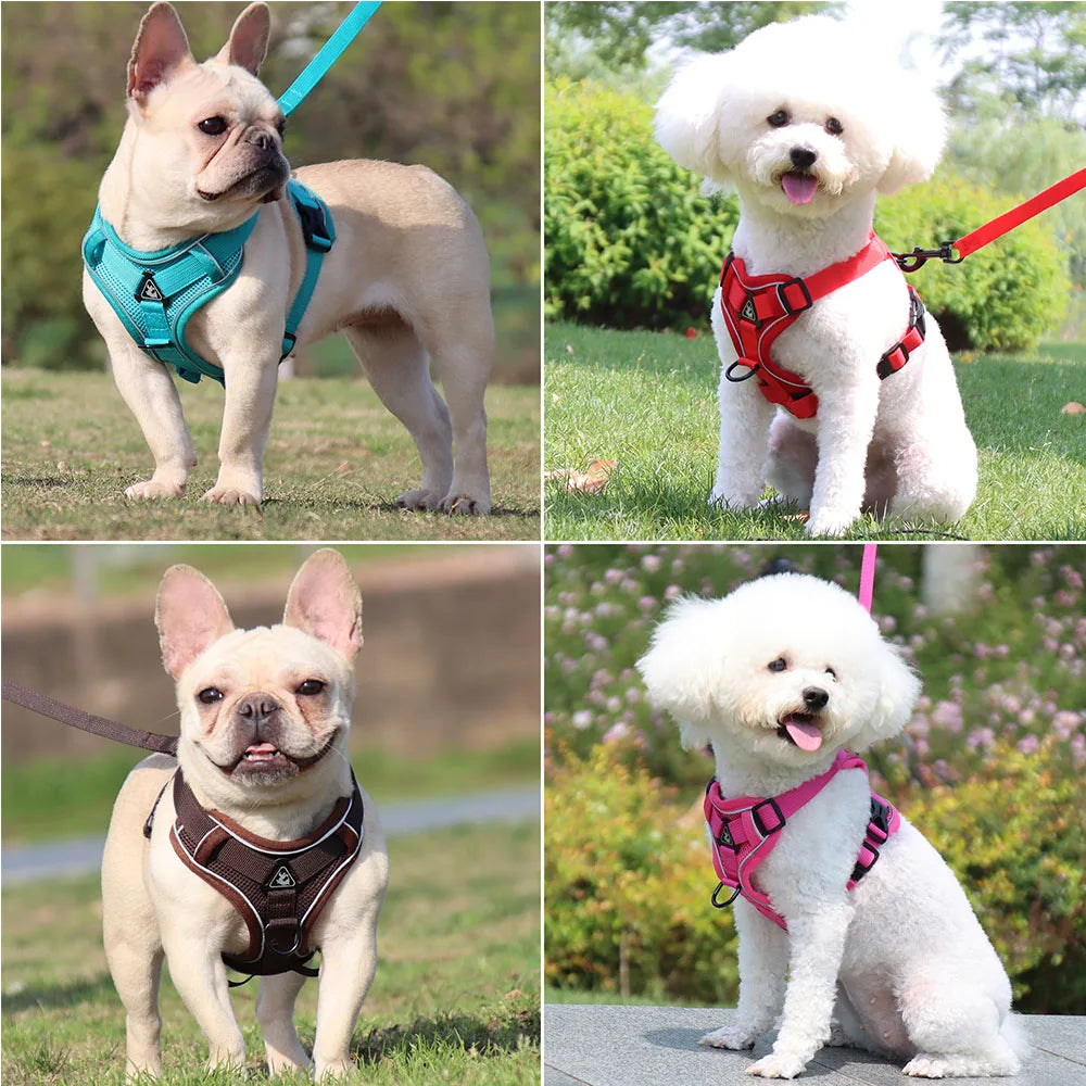 Arnés Ajustable para Perro con Correa – Cómodo, Seguro y Resistente