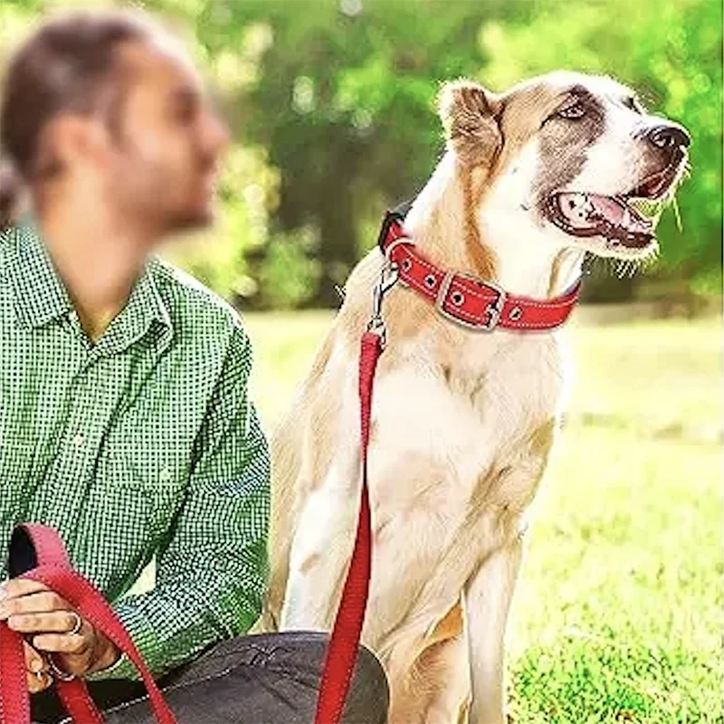 Collar Reflectivo Premium para Perros – Ajustable, Cómodo y Ultra Seguro