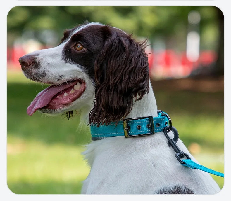 Collar Reflectivo Premium para Perros – Ajustable, Cómodo y Ultra Seguro