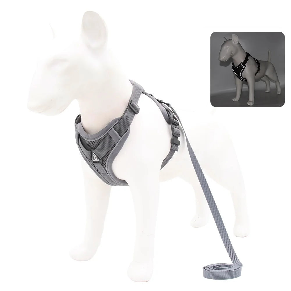 Arnés Ajustable para Perro con Correa – Cómodo, Seguro y Resistente