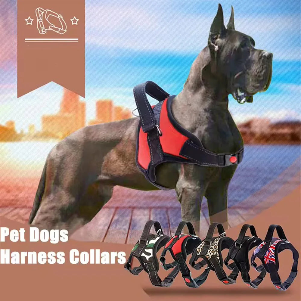 Arnés Premium Antitirones para Perros – Ajustable, Reflectivo y Transpirable