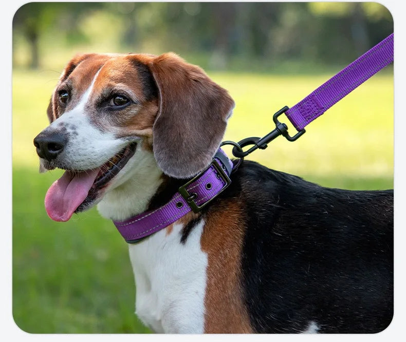 Collar Reflectivo Premium para Perros – Ajustable, Cómodo y Ultra Seguro