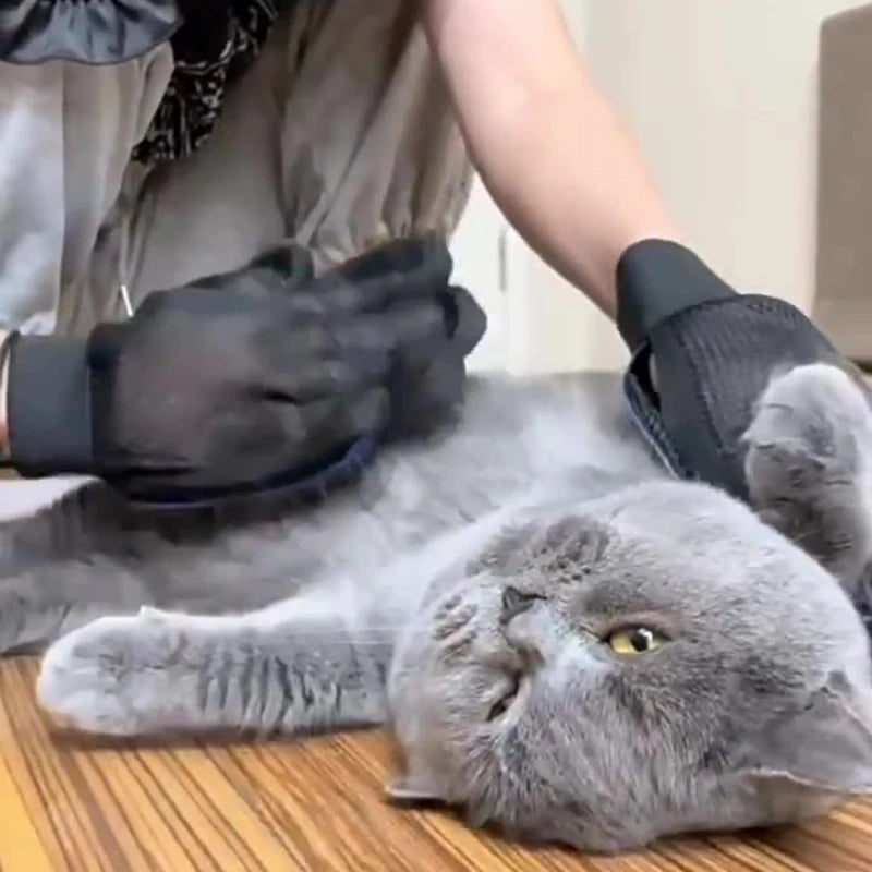 Guante Removedor de Pelo para Mascotas Pro – Cepillo de Baño y Limpieza 2 en 1 🐶🐱